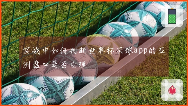 实战中如何判断世界杯买球app的亚洲盘口是否合理