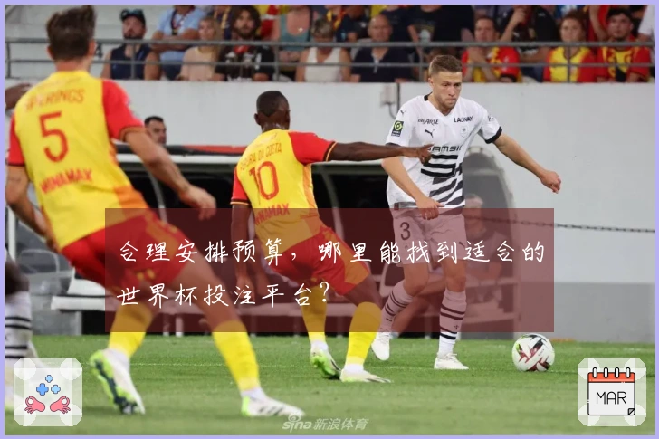 合理安排预算，哪里能找到适合的世界杯投注平台？
