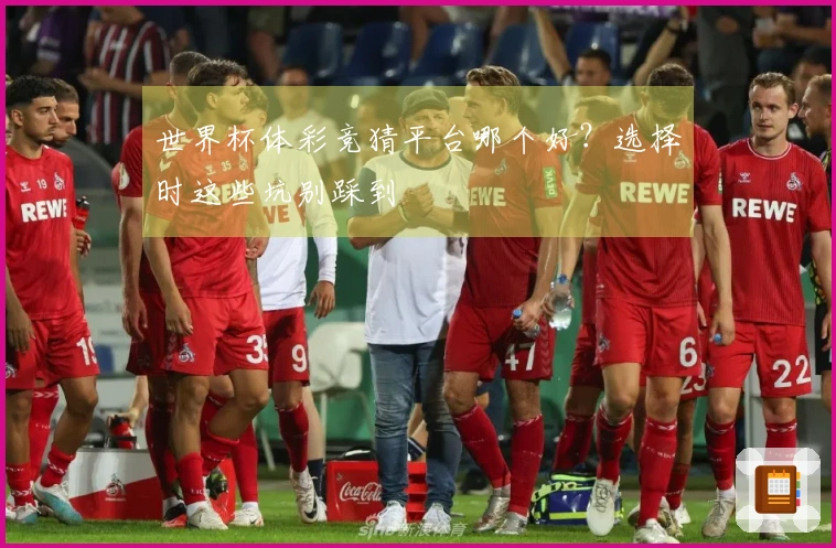 世界杯体彩竞猜平台哪个好？选择时这些坑别踩到