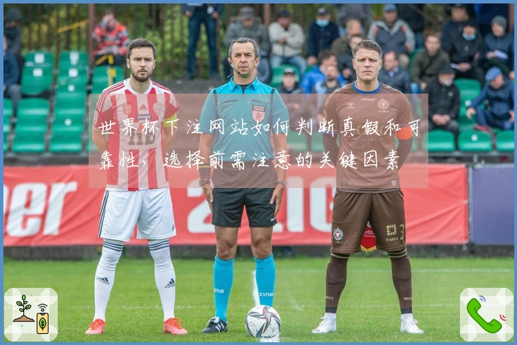 世界杯下注网站如何判断真假和可靠性，选择前需注意的关键因素