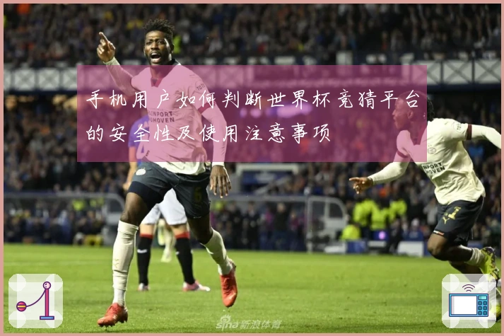手机用户如何判断世界杯竞猜平台的安全性及使用注意事项