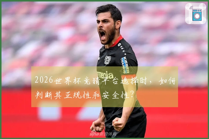 2026世界杯竞猜平台选择时,如何判断其正规性和安全性?