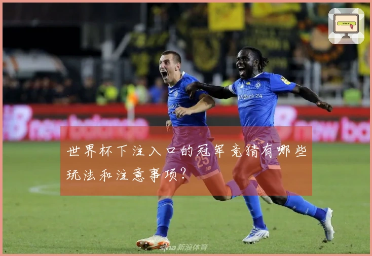 世界杯下注入口的冠军竞猜有哪些玩法和注意事项？