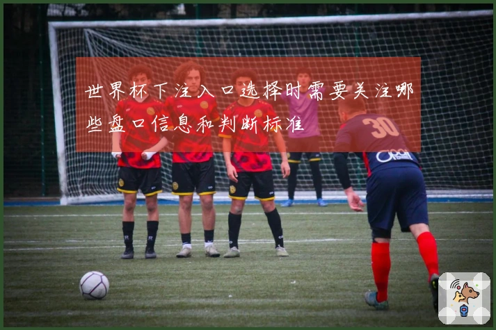 世界杯下注入口选择时需要关注哪些盘口信息和判断标准