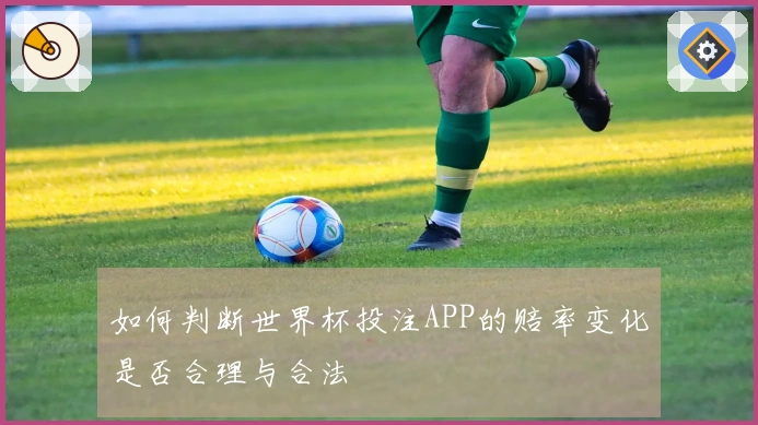 如何判断世界杯投注APP的赔率变化是否合理与合法