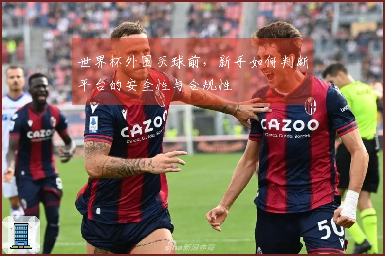 世界杯外围买球前，新手如何判断平台的安全性与合规性
