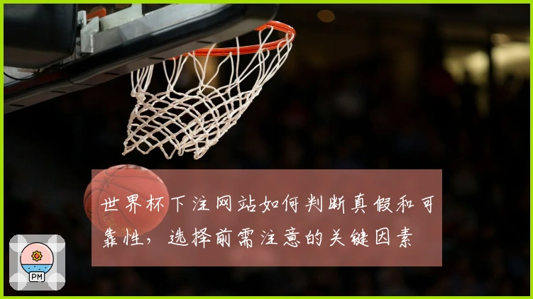 世界杯下注网站如何判断真假和可靠性,选择前需注意的关键因素