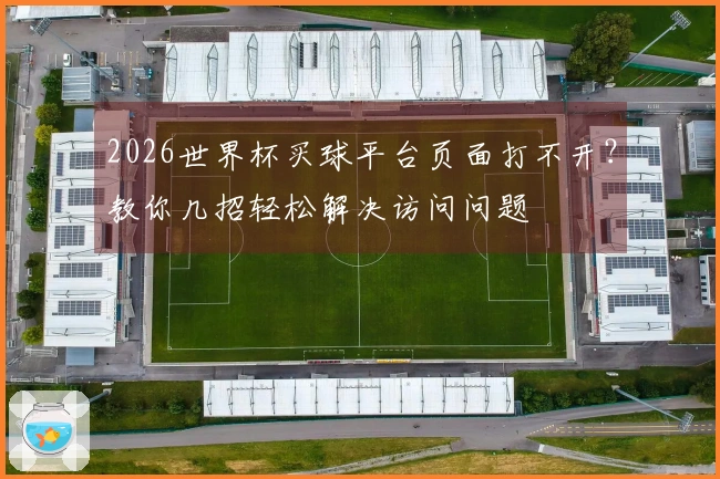 2026世界杯买球平台页面打不开?教你几招轻松解决访问问题