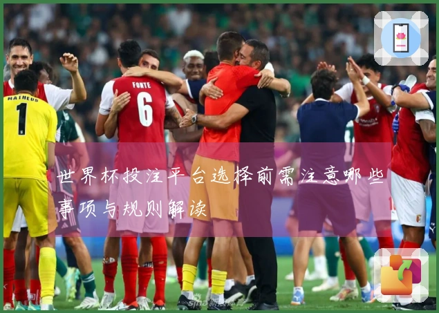 世界杯投注平台选择前需注意哪些事项与规则解读