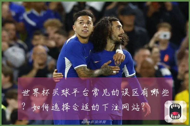 世界杯买球平台常见的误区有哪些？如何选择合适的下注网站？