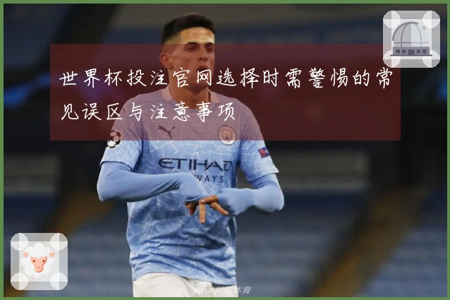 世界杯投注官网选择时需警惕的常见误区与注意事项