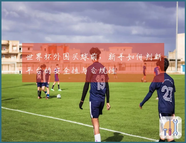 世界杯外围买球前，新手如何判断平台的安全性与合规性