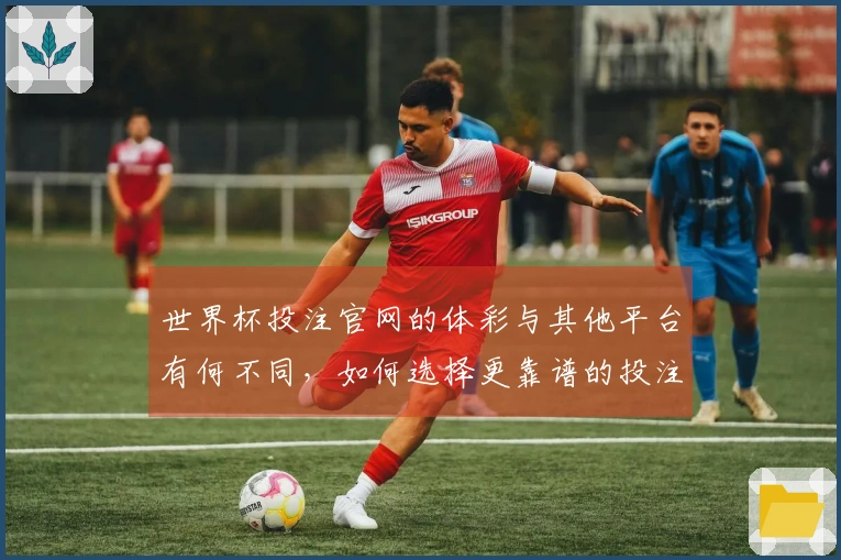 世界杯投注官网的体彩与其他平台有何不同，如何选择更靠谱的投注方式？