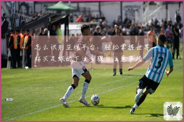 怎么识别正规平台，轻松掌握世界杯买足球的下注步骤与注意事项