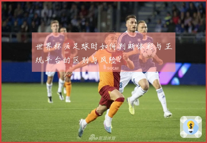 世界杯买足球时如何判断体彩与正规平台的区别与风险？
