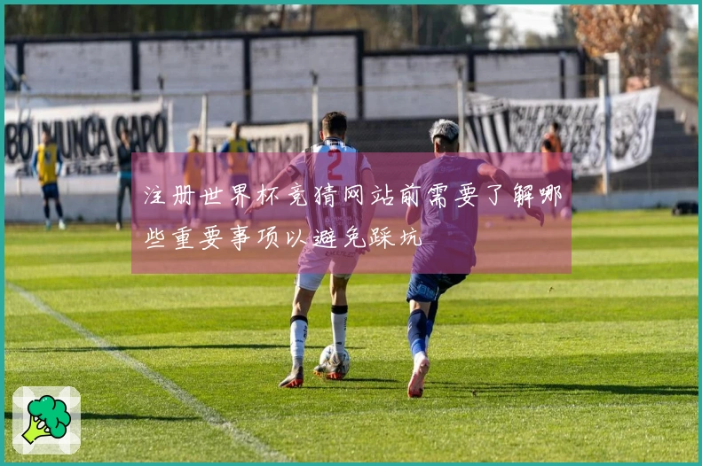 注册世界杯竞猜网站前需要了解哪些重要事项以避免踩坑