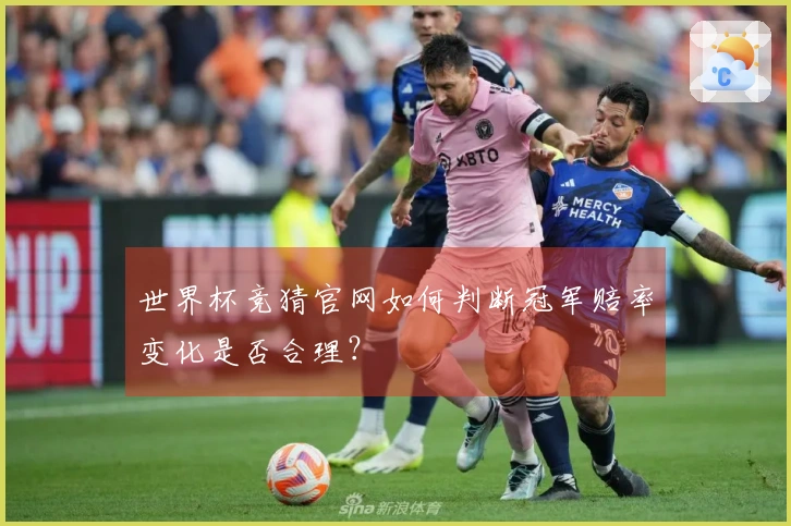世界杯竞猜官网如何判断冠军赔率变化是否合理？