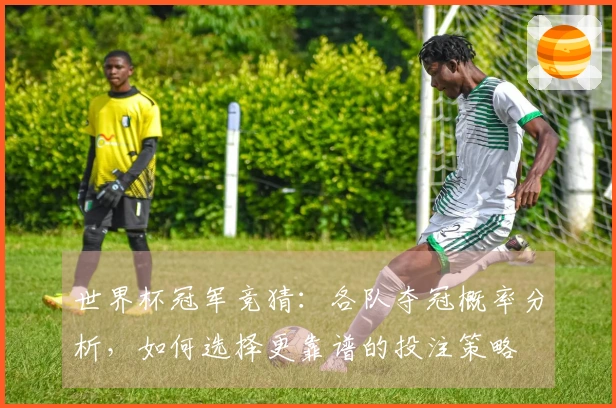 世界杯冠军竞猜:各队夺冠概率分析,如何选择更靠谱的投注策略