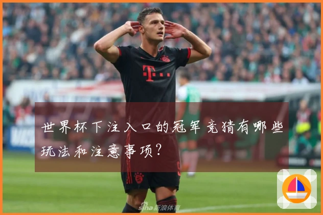 世界杯下注入口的冠军竞猜有哪些玩法和注意事项?