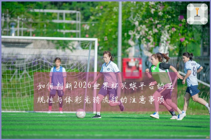 如何判断2026世界杯买球平台的正规性与体彩竞猜流程的注意事项