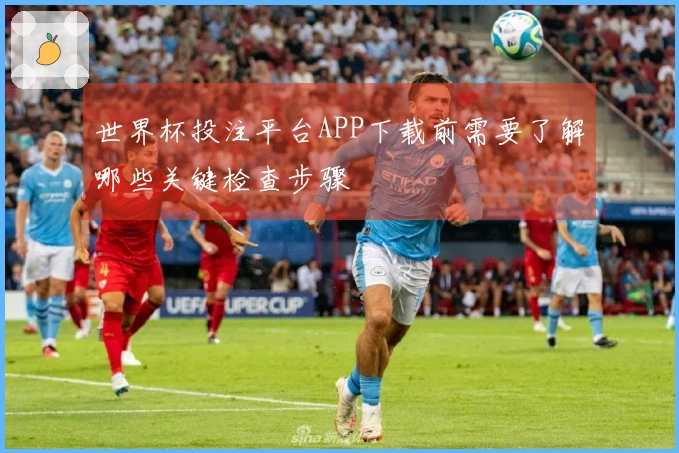 世界杯投注平台APP下载前需要了解哪些关键检查步骤