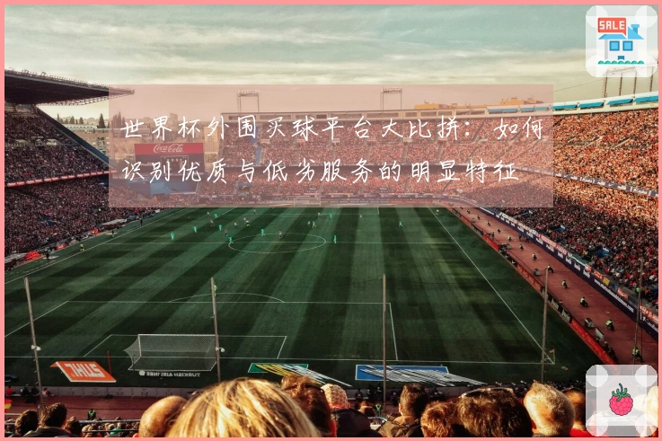 世界杯外围买球平台大比拼：如何识别优质与低劣服务的明显特征