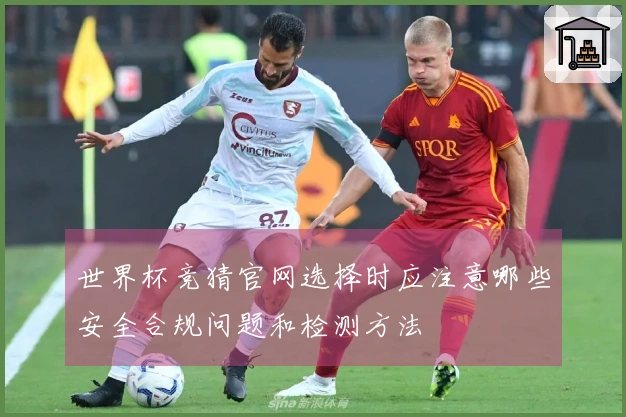 世界杯竞猜官网选择时应注意哪些安全合规问题和检测方法