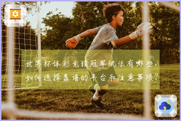 世界杯体彩竞猜冠军玩法有哪些,如何选择靠谱的平台和注意事项?