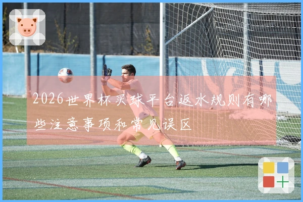 2026世界杯买球平台返水规则有哪些注意事项和常见误区