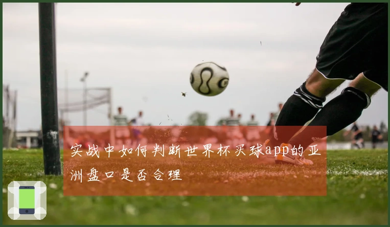 实战中如何判断世界杯买球app的亚洲盘口是否合理