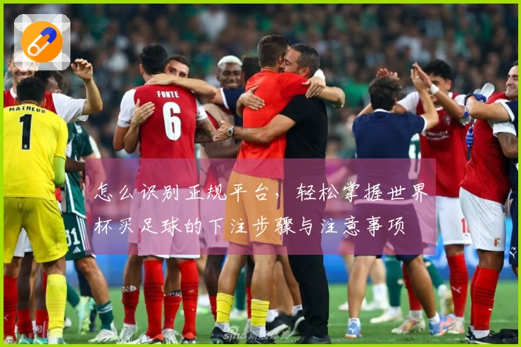 怎么识别正规平台，轻松掌握世界杯买足球的下注步骤与注意事项