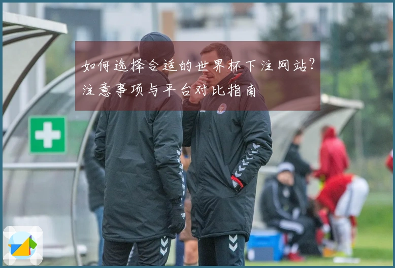 如何选择合适的世界杯下注网站？注意事项与平台对比指南
