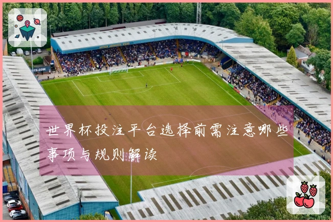 世界杯投注平台选择前需注意哪些事项与规则解读