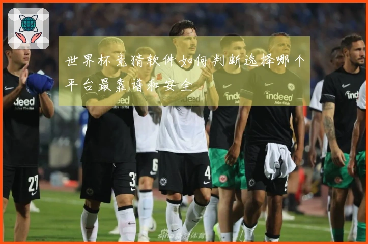 世界杯竞猜软件如何判断选择哪个平台最靠谱和安全