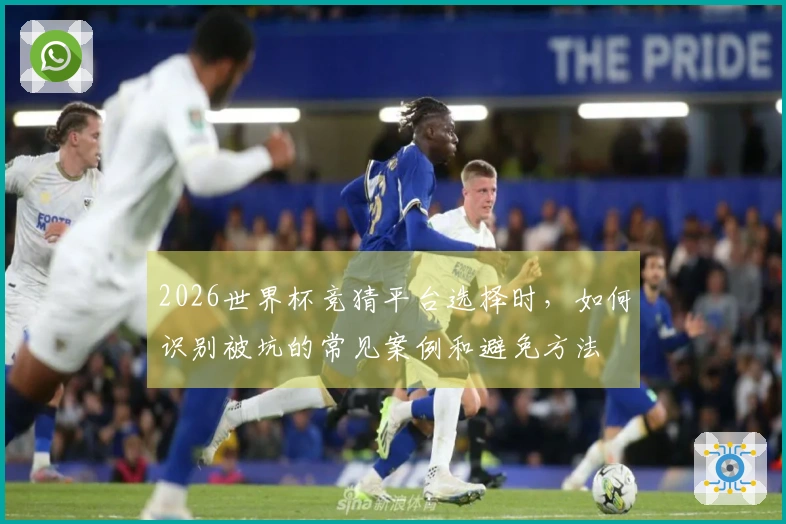 2026世界杯竞猜平台选择时，如何识别被坑的常见案例和避免方法