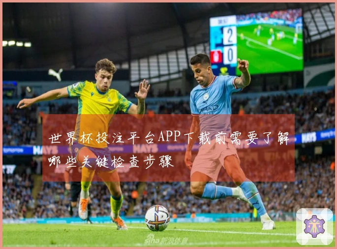 世界杯投注平台APP下载前需要了解哪些关键检查步骤