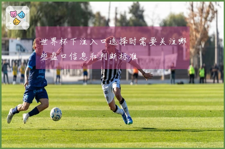 世界杯下注入口选择时需要关注哪些盘口信息和判断标准