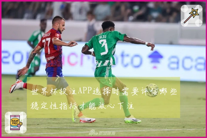 世界杯投注APP选择时需要评估哪些稳定性指标才能放心下注