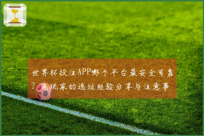 世界杯投注APP哪个平台最安全可靠？老玩家的选址经验分享与注意事项